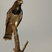 Black-breasted Snake-Eagle